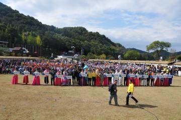 제7회 대전효문화뿌리축제